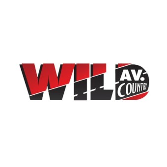 Wild Country 101 logo