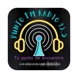 Punto Fm Radio 93.5 logo