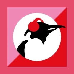 Pinguin Pop logo