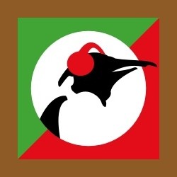 Pinguin World Music logo