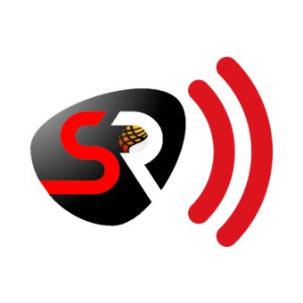 Selten Radio logo