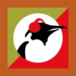 Pinguin Grooves logo