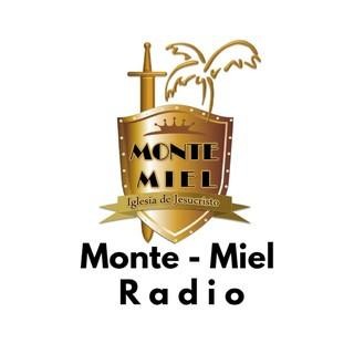 Monte Miel Radio logo