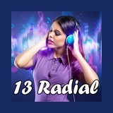 13 Radial logo