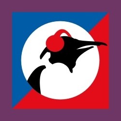 Pinguin Showcase logo