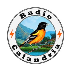 Radio Calandria logo