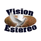 Vision Estereo logo