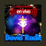 David Radio logo