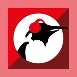 Pinguin Pluche logo