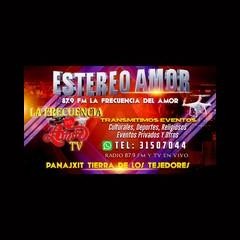 Estereo Amor 87.9 FM logo