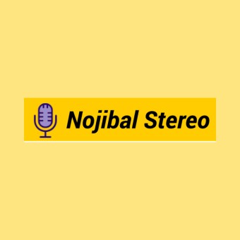 NOJIBAL STEREO logo