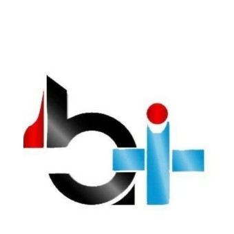 Belle Image Plus logo