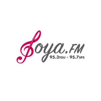 Joya FM 95.3 logo