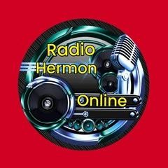 Radio Hermon Online logo