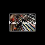 Radio Mustang logo