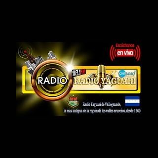 Radio Yaguari 103.1 FM logo