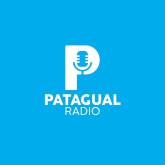 Radio Patagual 1530 AM logo