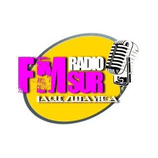 FM Sur logo