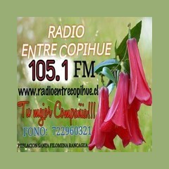 Radio Entre Copihue 105.1 FM logo