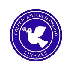 Colegio Amelia Troncoso logo