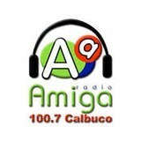 Radio Amiga 100.7 FM logo