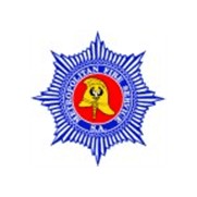 Metropolitan Region Fire Departments logo