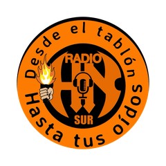 Radio HN Sur logo