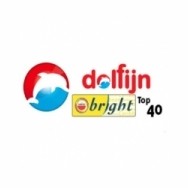 Dolfijn 97.3 FM Bright Top 40 logo