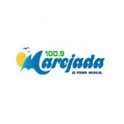 Radio Marejada 100.9 FM logo