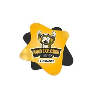 Radio Explosion Hits FM logo