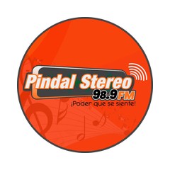 Pindal Stereo 98.9 FM logo