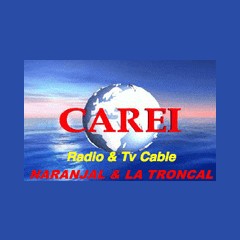 Carei FM 89.5 logo