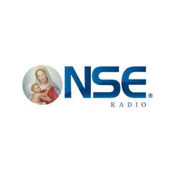 NSE Radio América logo