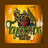 Radio Tayabamba 100.5 FM logo