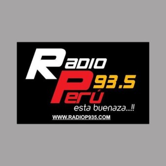 RADIO P 93.5 FM logo
