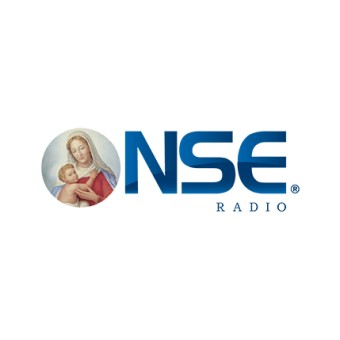 NSE Radio España logo