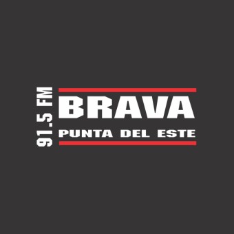 BRAVA FM 91.5 logo