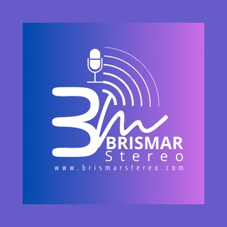 BRISMAR Stereo Online logo