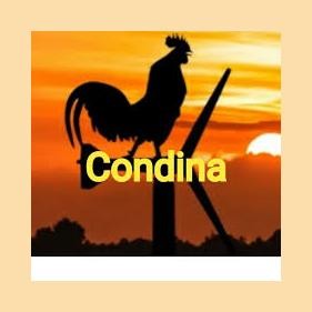 Condina Virtual logo