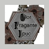 Olor Fragante Ipuc logo