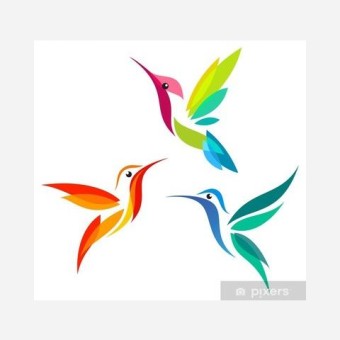 Colibri Digital logo