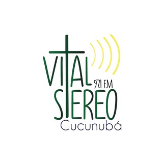 Vital Stereo logo