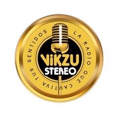 Vikzu Stereo logo