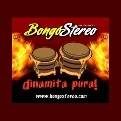 Bongo Stereo logo