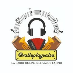 Valleplaysalsa logo