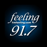 Feeling FM 91.7 logo