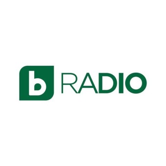 bTV Радио (BTV Radio) logo