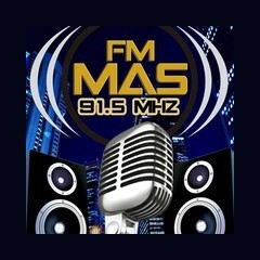 FM Mas 91.5 logo