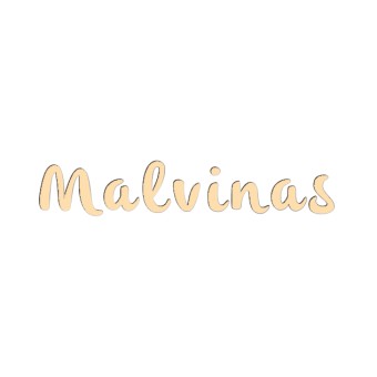 FM 91.9 Malvinas logo