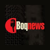 Boqnews logo